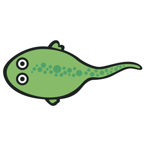 Tadpole