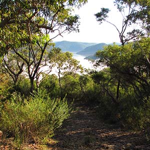 vista