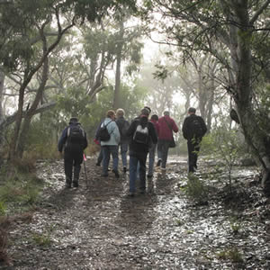 Bushwalk people 1