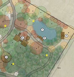 Childrens forest aerial