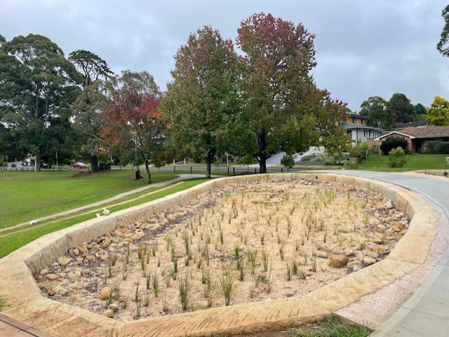 sandstone basin with plants