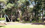 Reddy Park Playground