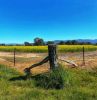 <p>Finalist - Senior</p> <p>Caroline Hawkins</p> <p>Looking beyond</p> <p>I spent much of 2021 in rural Victoria, reluctant to return when Delta hit Sydney. I loved driving past the canola fields - the bright yellow suggesting hope beyond the restraining fence.</p>