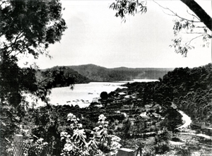 1930s view looking down towards the old dairy at Brooklyn