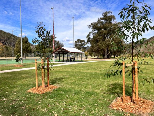 Wisemans Ferry playground tennis courts