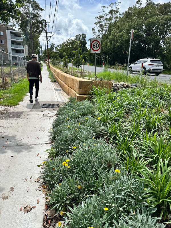 Asquith to Mt Colah upgrades