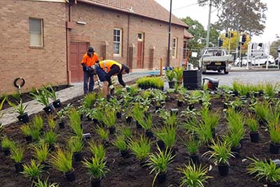 planting and finishing works