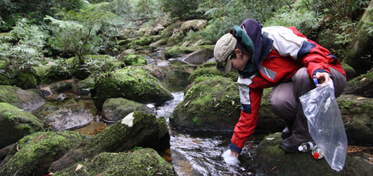 Water quality and conservation